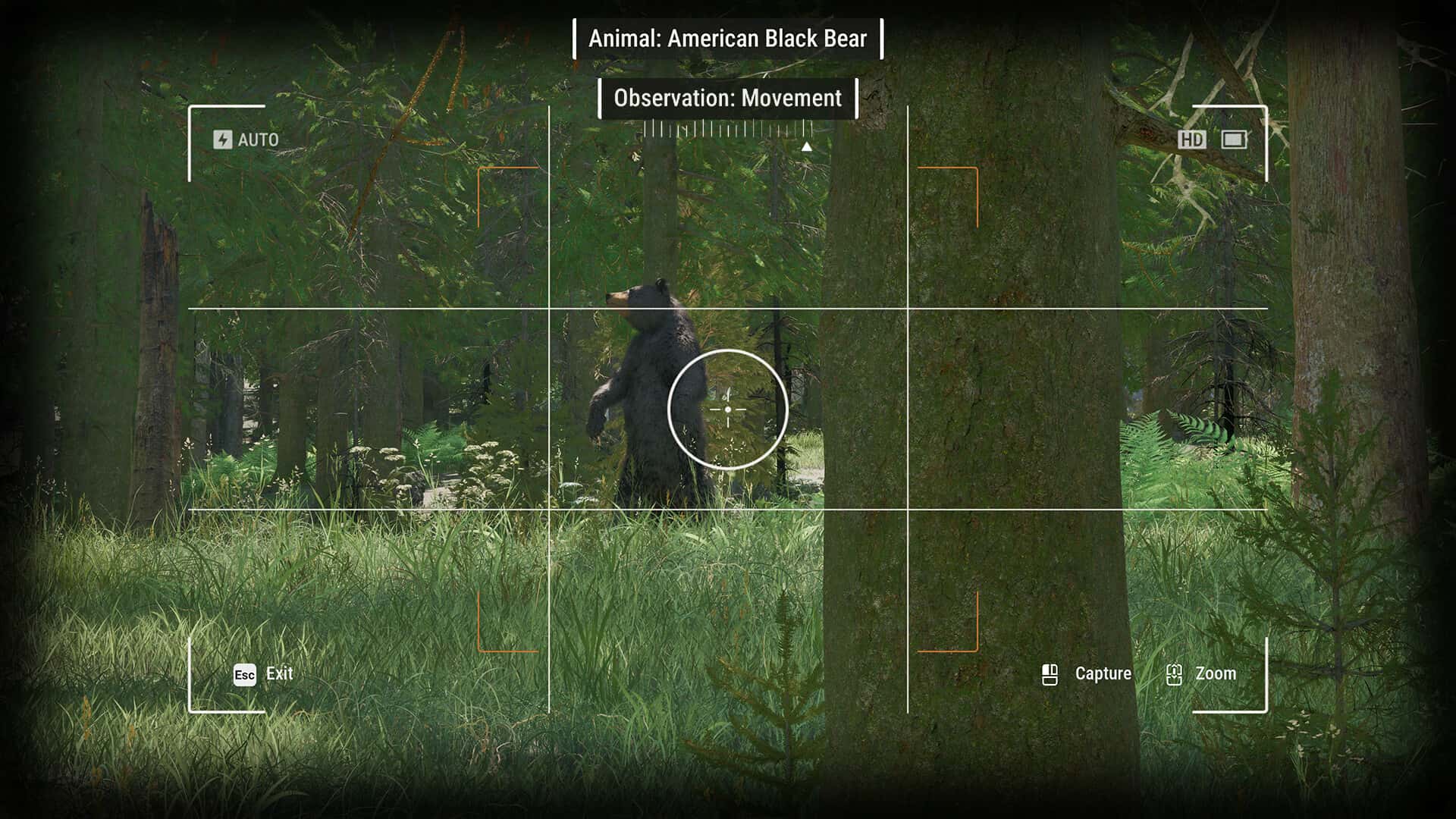 护林员之路 国家公园模拟器 Rangers Path National Park Simulator 中文版